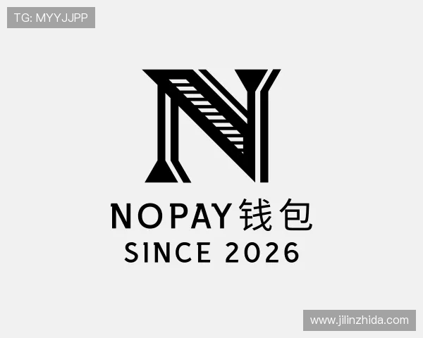 了解NOPAY钱包